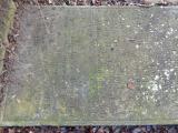 image of grave number 810597